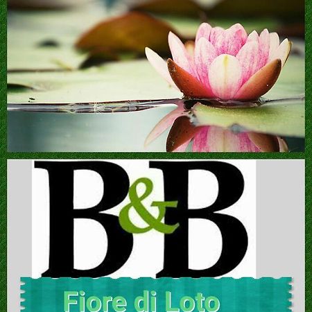 Fiore Di Loto Limatola Extérieur photo